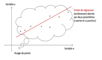 Statistiques